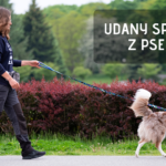 Udany spacer z psem