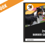 E-book: Życie z border collie