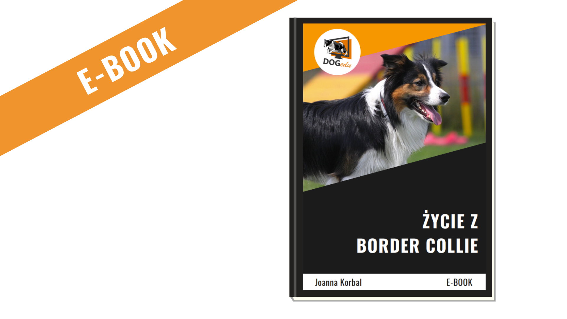 E-book: Życie z border collie