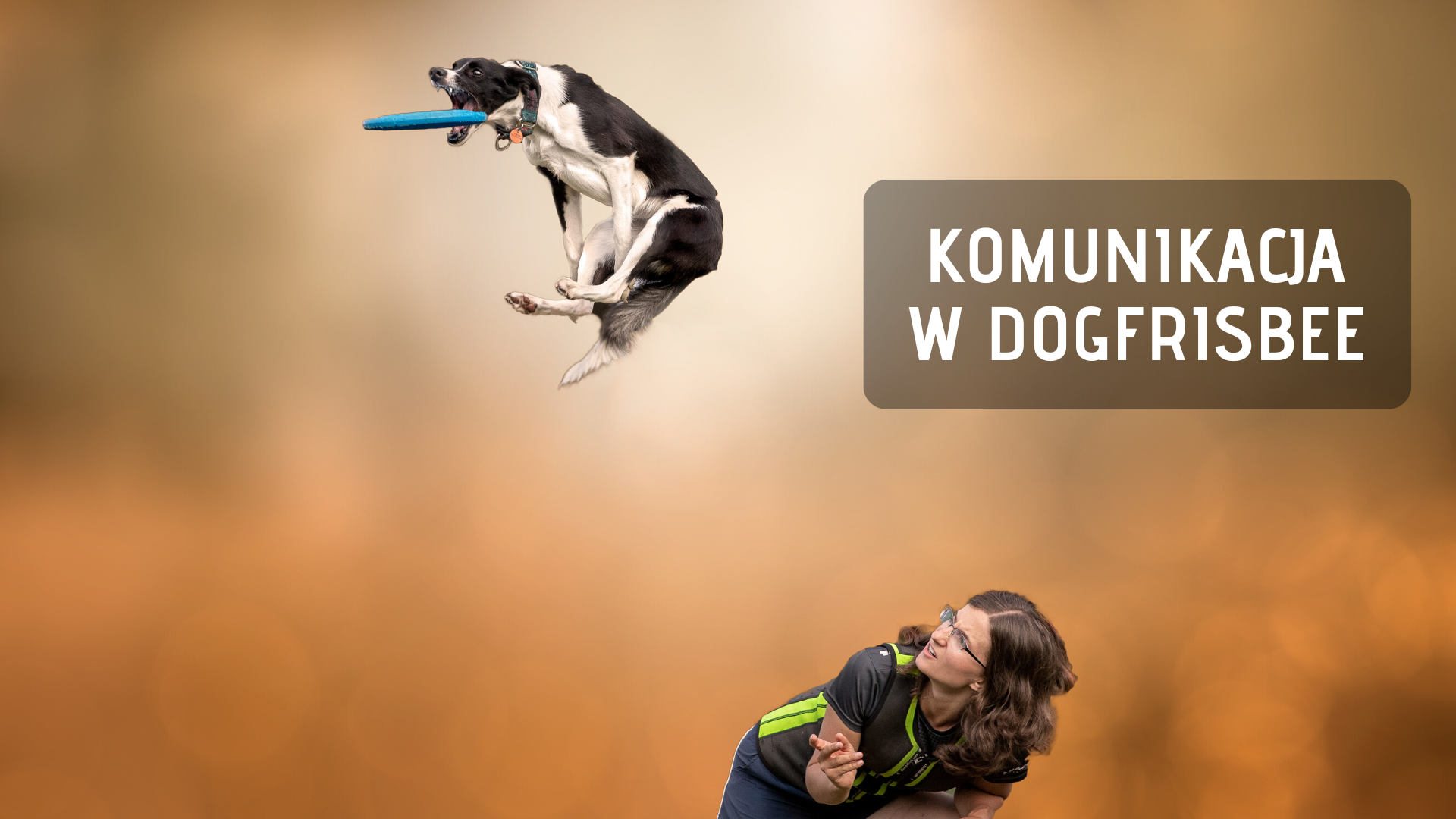 WEBINAR - Komunikacja w dogfrisbee