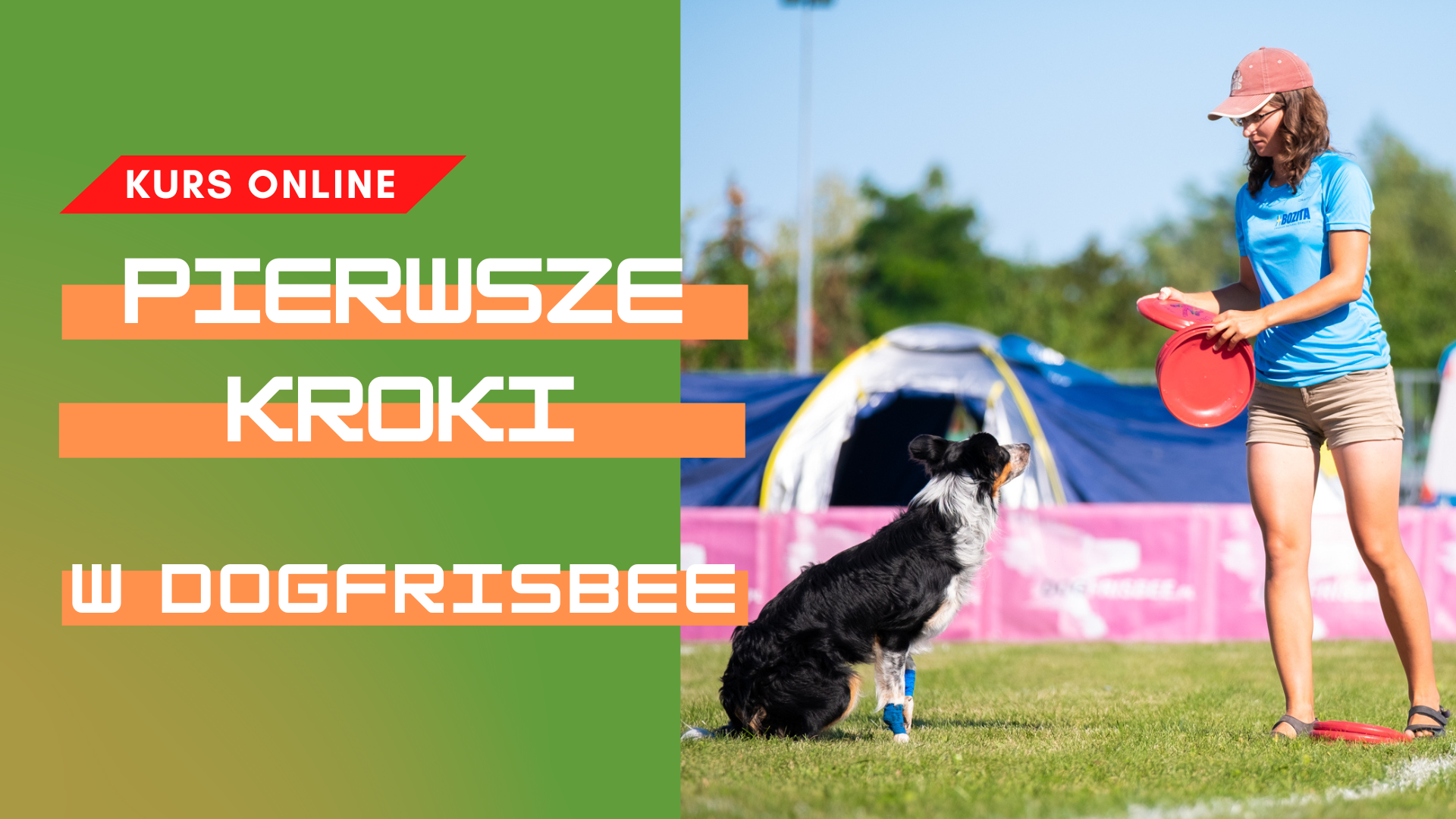 KURS - Pierwsze kroki w dogfrisbee