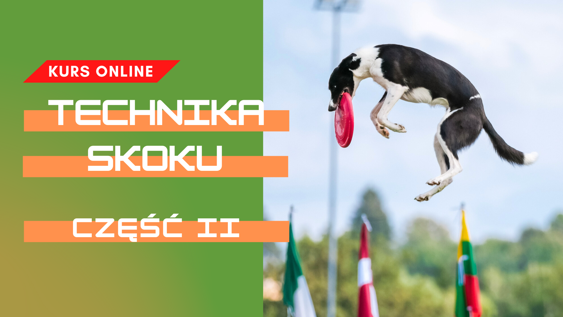 KURS - Technika skoku w dogfrisbee: część II