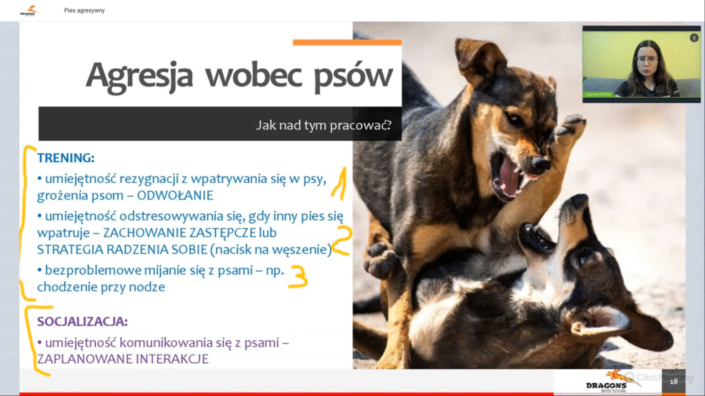 Pies agresywny (5)