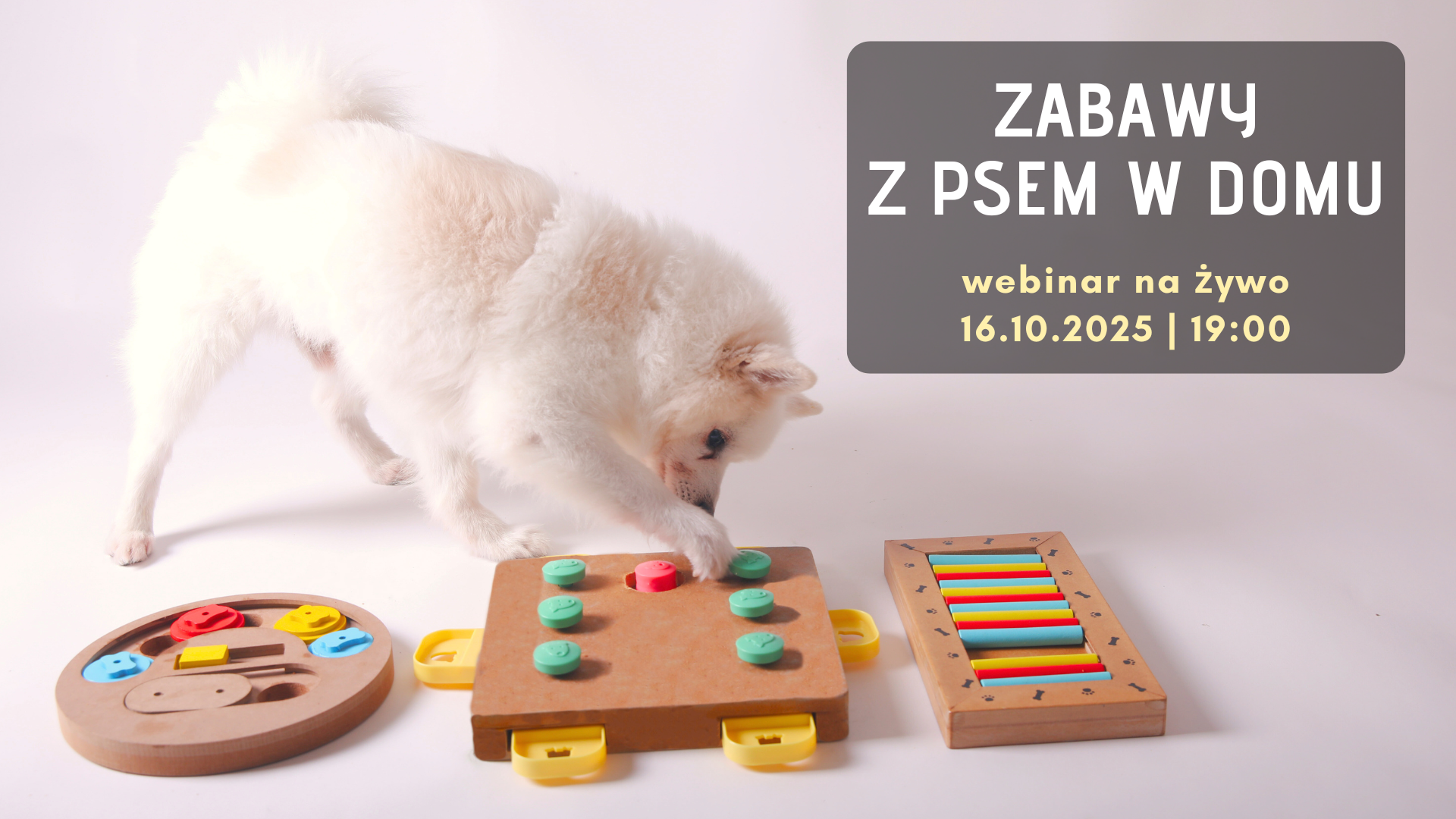 WEBINAR NA ŻYWO - Zabawy z psem w domu