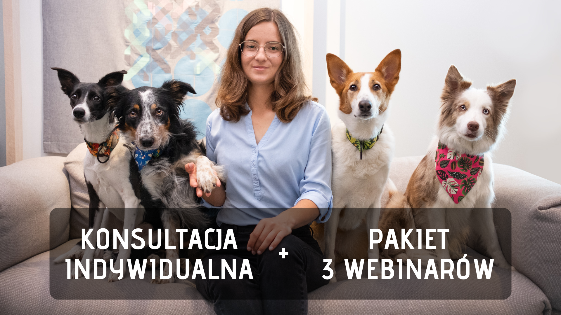 Pakiet VIP - DOGadaj się ze swoim psem!