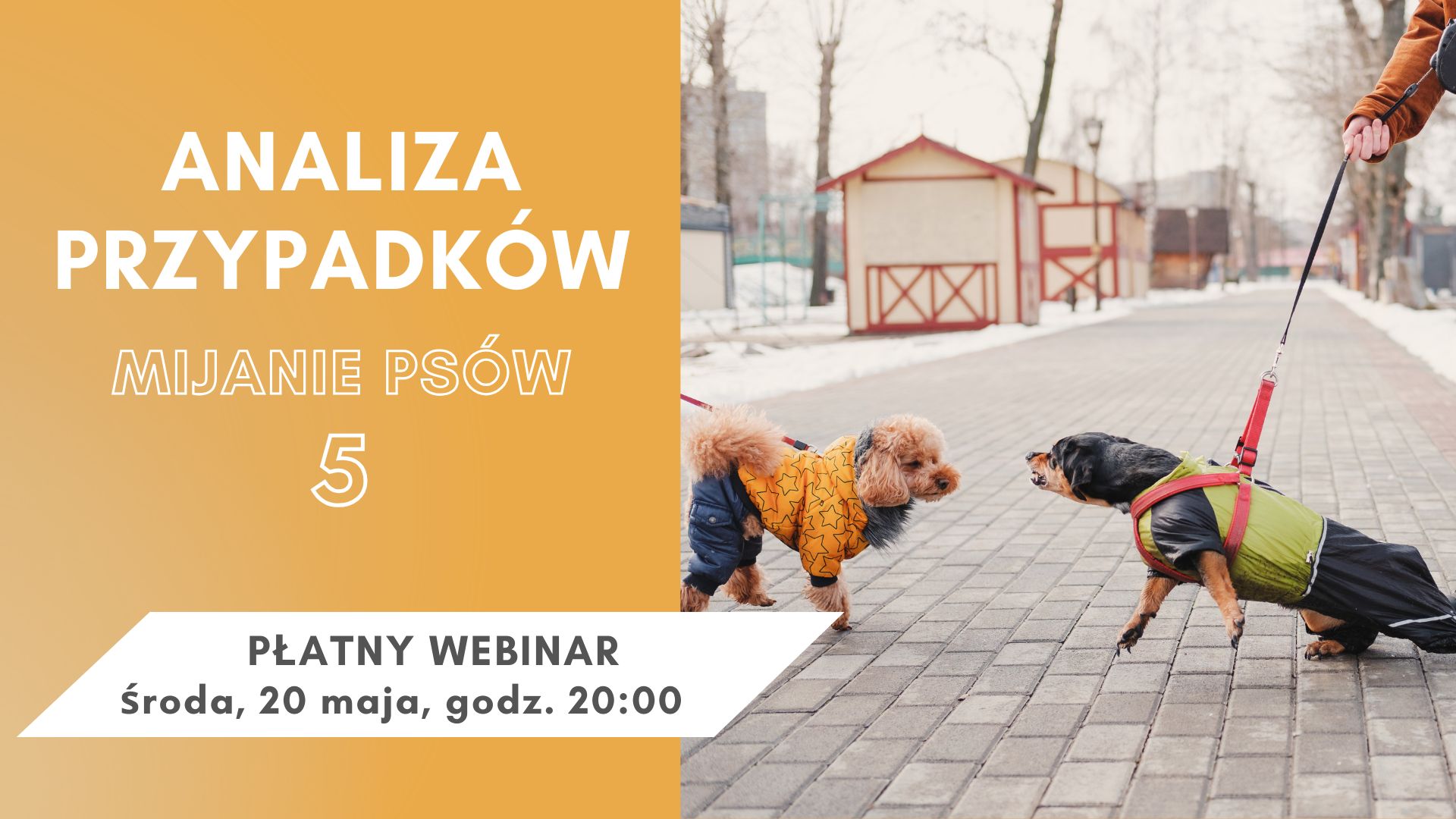 WEBINAR NA ŻYWO: Analiza przypadków - mijanie psów 5